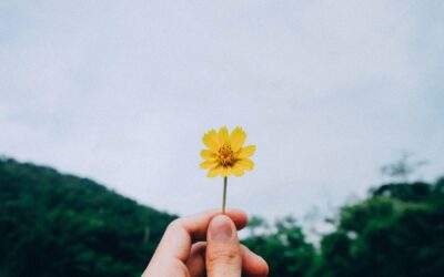 Exploring the Identity and Experiences of Cisgender Women